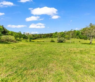 1635 Murray Drive property image - 16