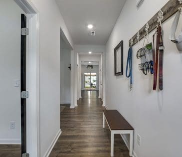 12017 Spearmint Lane property image - 4