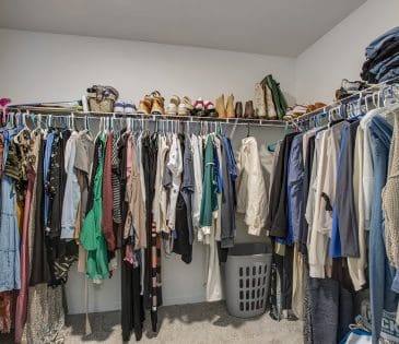 12017 Spearmint Lane property image - 32