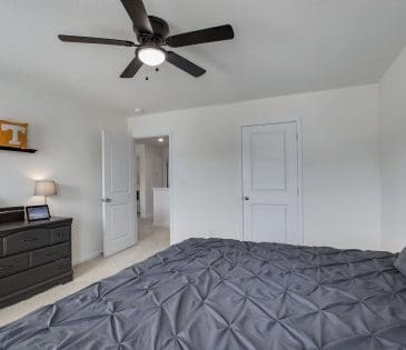 12017 Spearmint Lane property image - 36