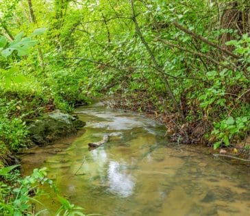 1830 Wilkinson Pike property image - 25
