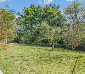 8220 Corteland Drive property image - 41